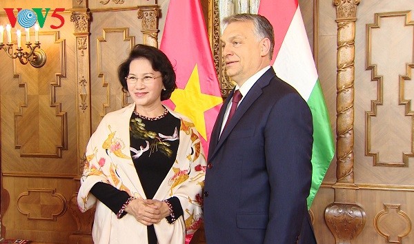 Vietnam aims to elevate relations with Czech and Hungary - ảnh 2